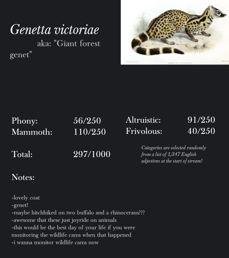 Genetta victoriae